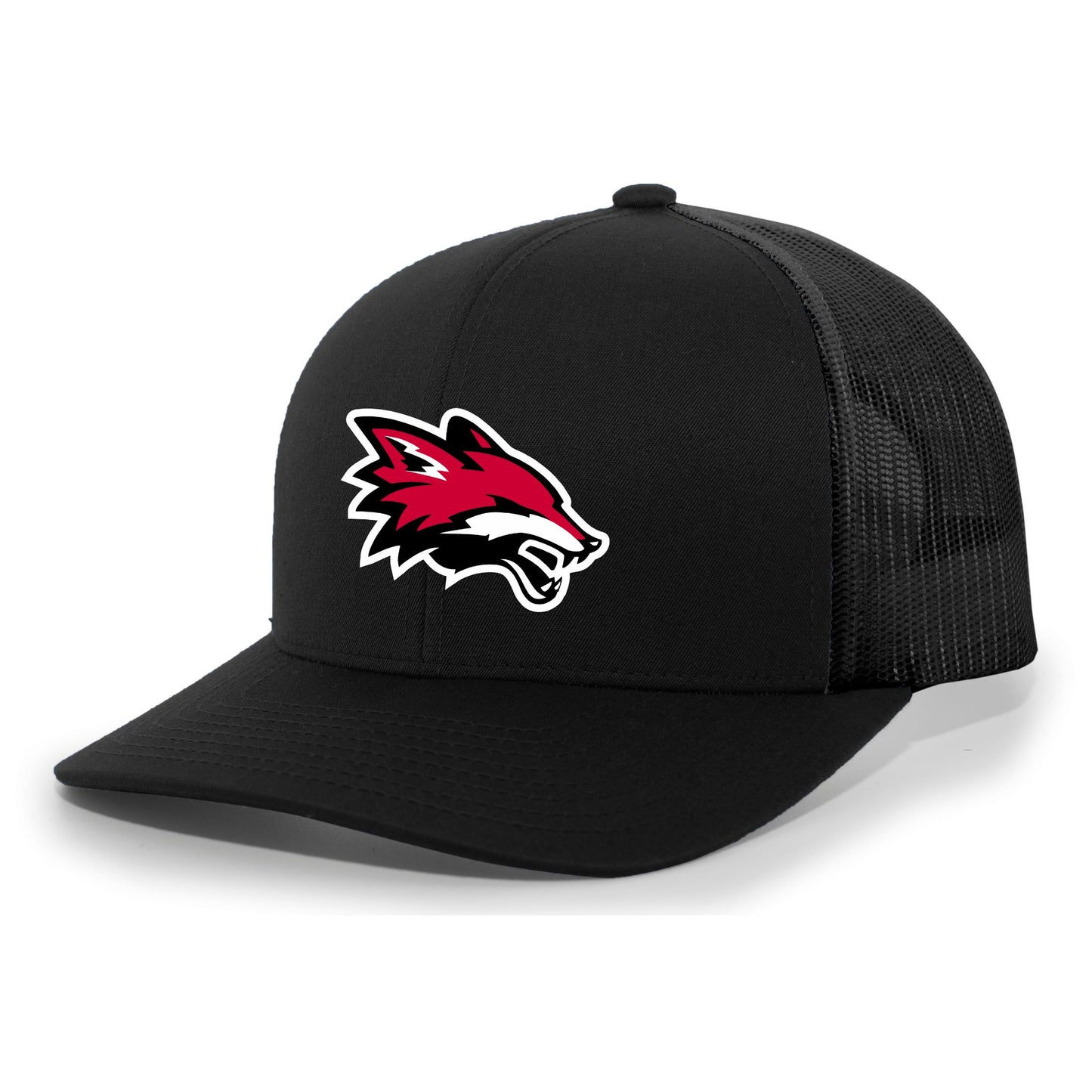 Y115 Campus Monitor Snapback Hat